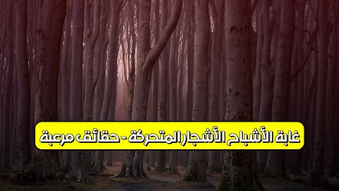 غابة الأشباح: الأشجار المتحركة - حقائق مُرعبة #غابات #ظواهر #أسرار