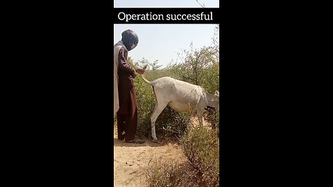 operation successful