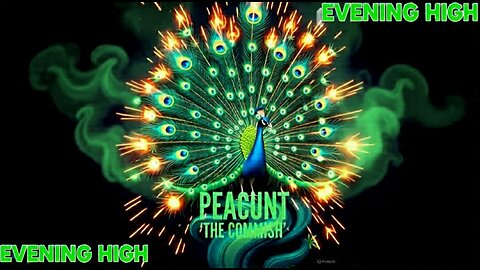 EVENING HIGH 🌃 BLACK FRIIIIDAY ☁️☁️🚬🤘👀🦚