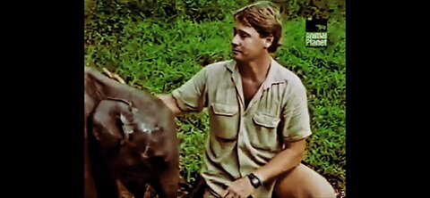 Steve Irwin With A Dying Baby Elephant 🐘