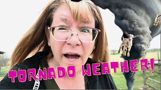 Racing To The ANIMALS Before The TORNADO Hits!