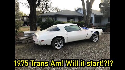 Trans Am awakening!