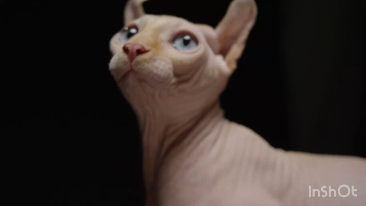 Follow me for more 🥰🥰