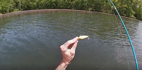 EP 226 " Plum Orchard Lake, W.V. - Good Baits , Bad Trip Prep "