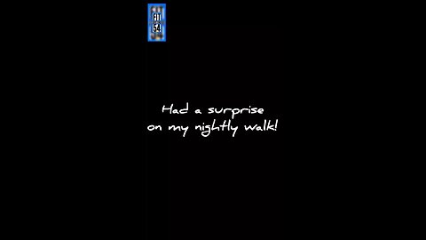 Surprise! Natures beauty!