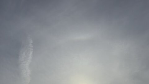 Arcs rings halos