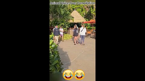 Funny flamingo