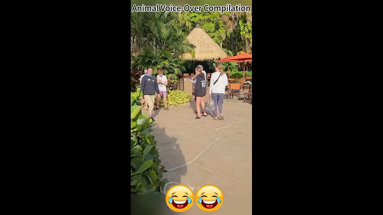 Funny flamingo