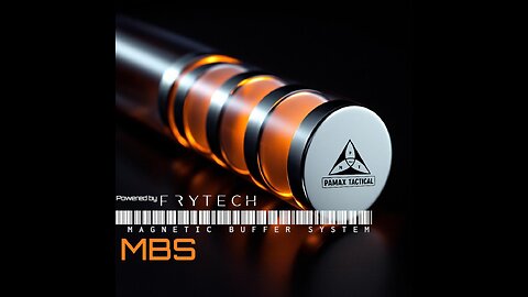 MBS Magnetic Buffer System AR15 by PAMAX Tactical & Frytech