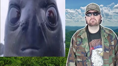Try Not To Laugh Compilation (Exceptionally Hard) (BT) - Reaction! (BBT)