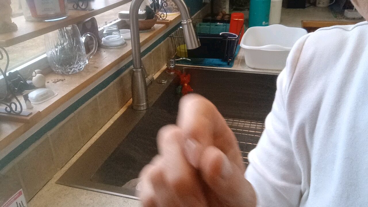 Let's Shuck Loofahs!