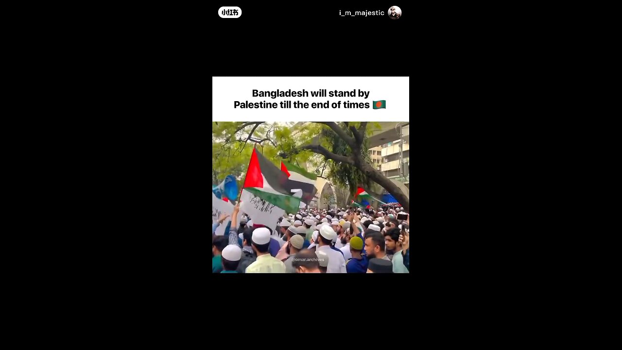 FREE FREE Palestine