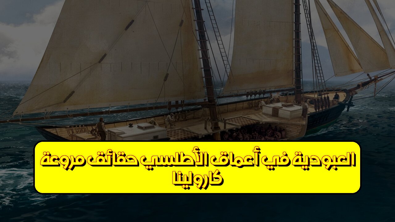 كارولينا: العبودية في أعماق الأطلسي | حقائق مروعة #تاريخ #عبودية #كارولينا