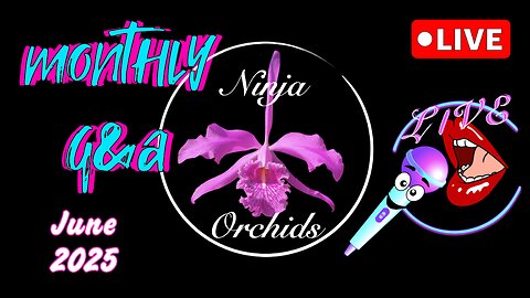 Monthly Q&A FAQ June 2025 Comments Review Orchid Related or Not Diverse Topics #ninjaorchids