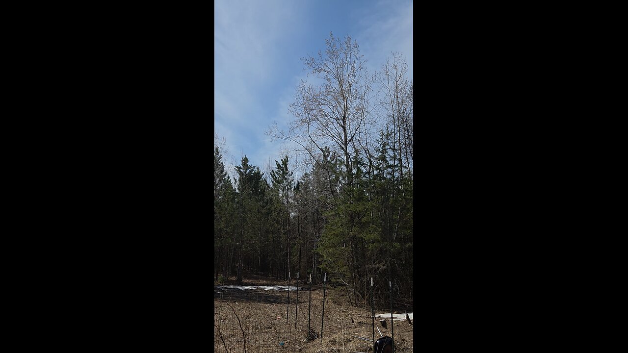 : PART-~5, MILITARY-COMMS: ~4/14/25