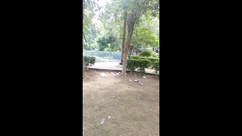 Delhi Darshan