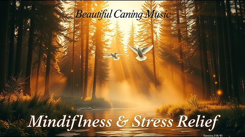 Beautiful Calming Music for Mindfulness and Stress Relief
