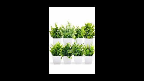 Dekorly Artificial Potted Plants 🪴