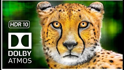 Most Amazing Animals 8K HDR Dolby Vision Video at 120 FPS - 4K TV