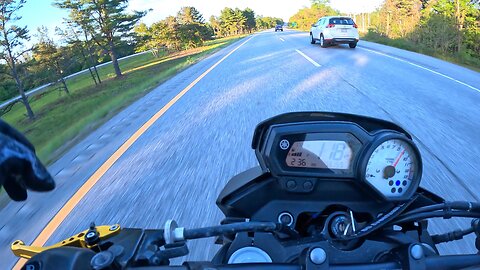 Fz8
