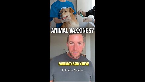 animals and vaccines