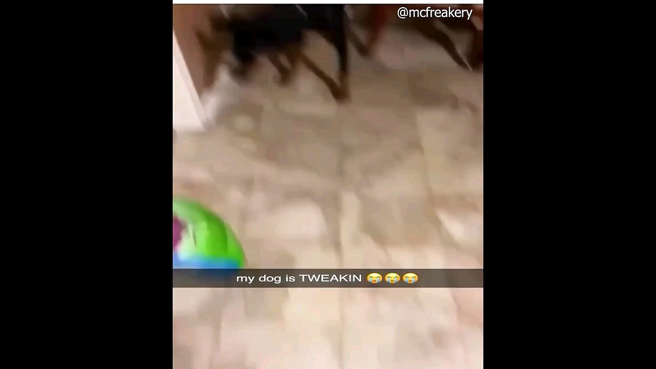 Please laugh,this is for you. 28