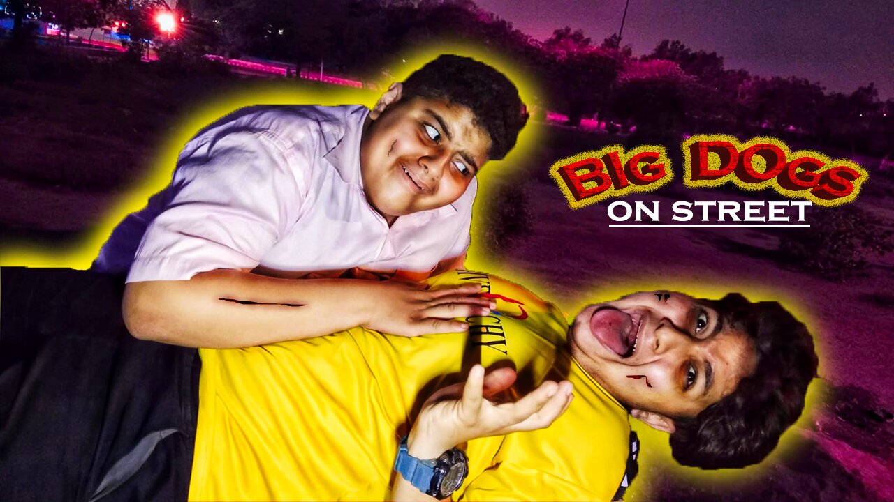 Two Dogs Cry After Car Accident