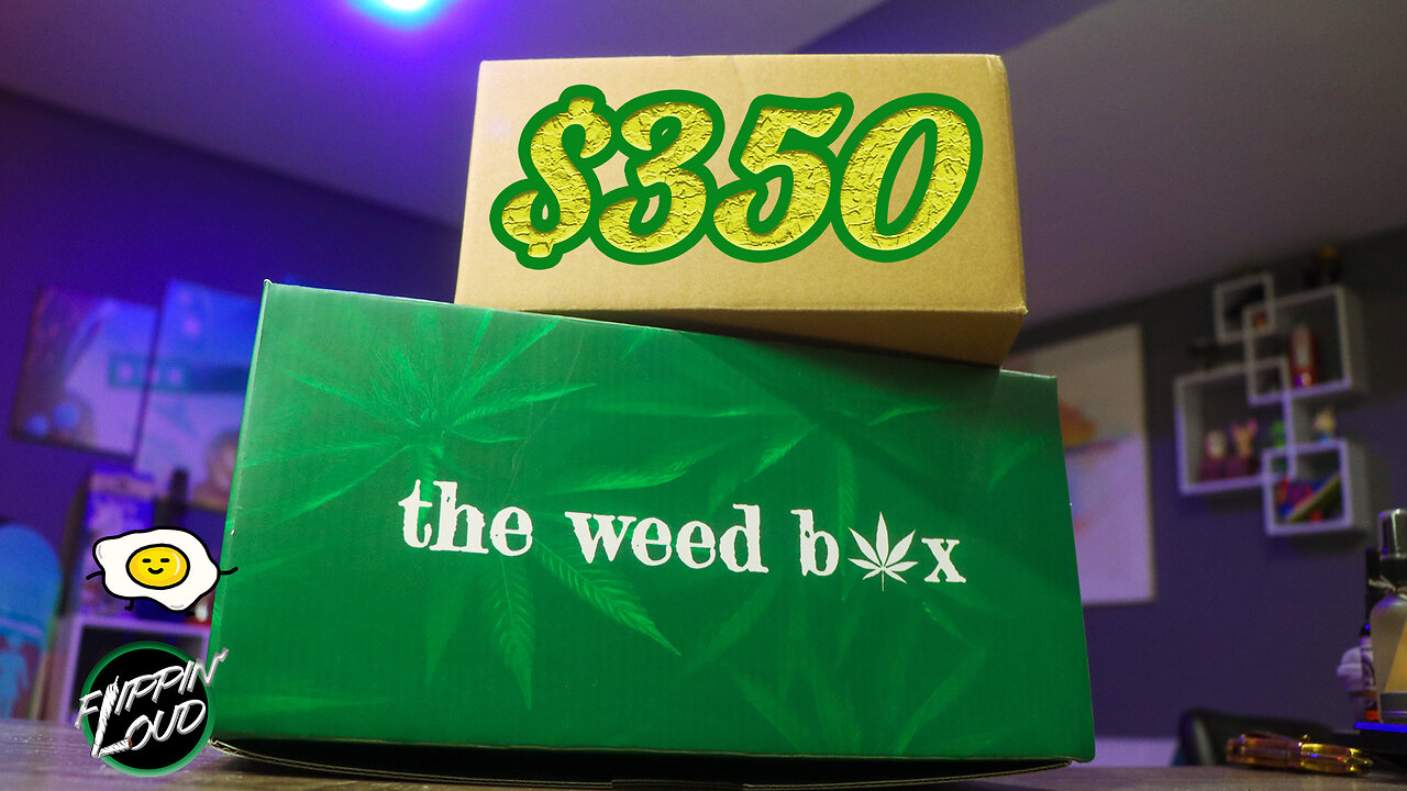 SHARK WEEK MYSTERY BOX 🦈 + SPENDING $350 at an ONLINE DISPENSARY!! ft TWB & JKDistro