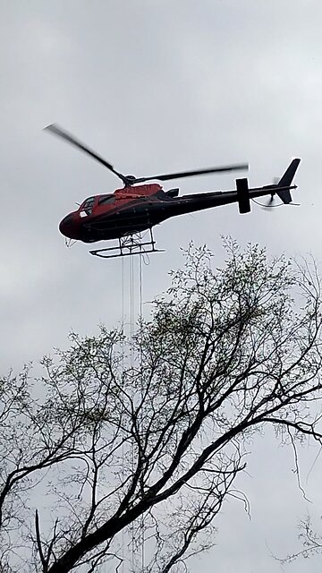 Helicopter cutting trees