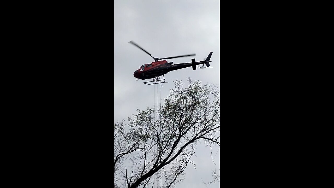 Helicopter cutting trees