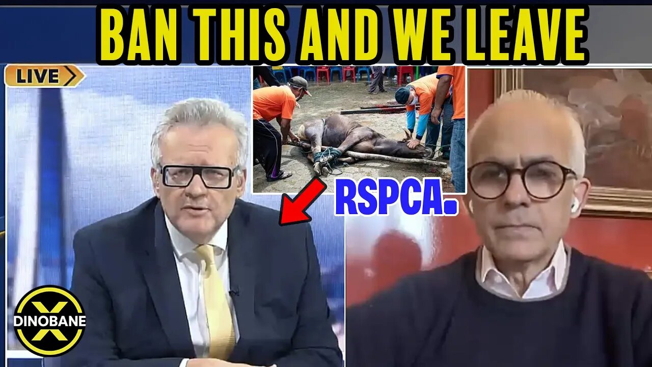 Let's Talk About The RSPCA.