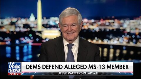 Newt Gingrich: Democrats Have Lost Their Minds