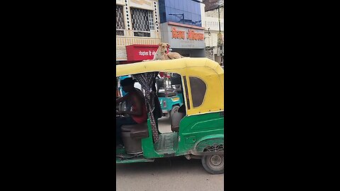 हमका बनारस घुमाय दा