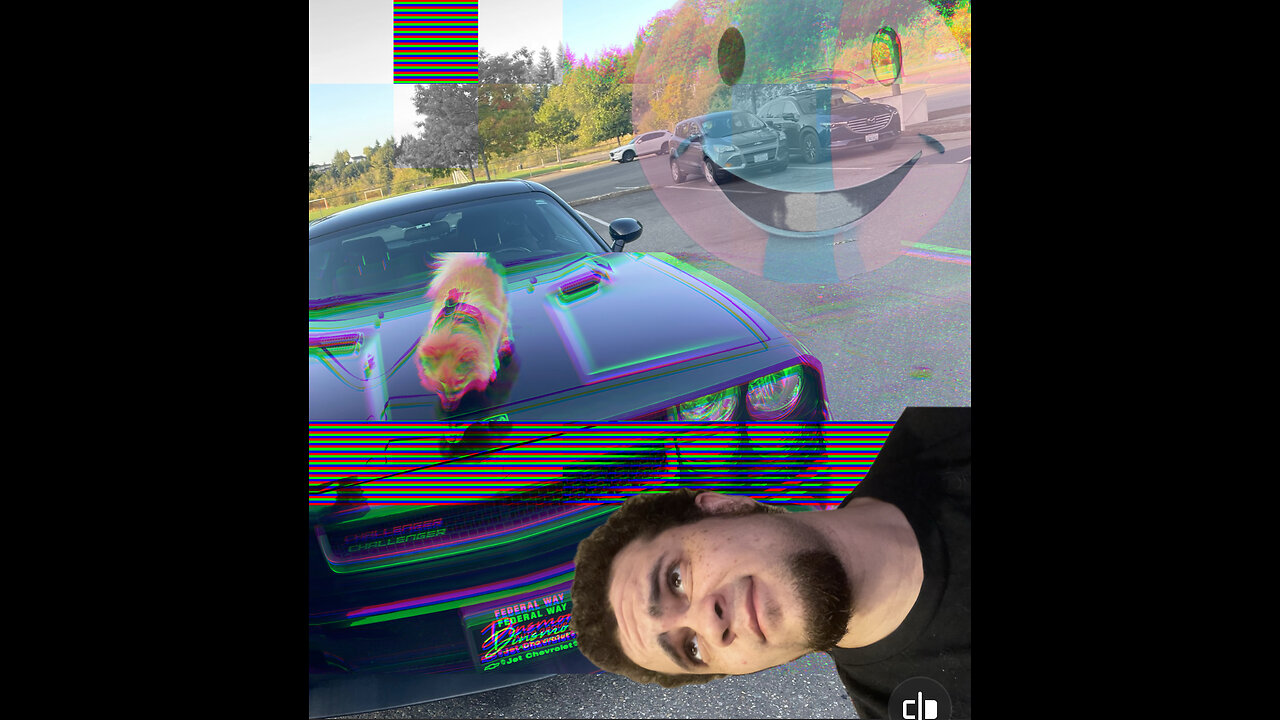 THE NIGHT I WAS HIT BY A CAR