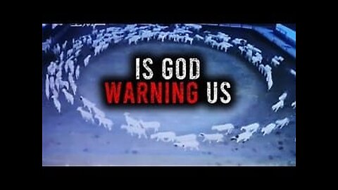 Animals Walking in Circles (End Times Warning?)