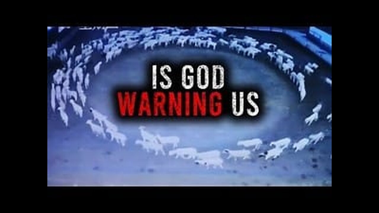 Animals Walking in Circles (End Times Warning?)