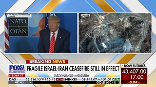 'HE IS IN REAL TROUBLE': Trump official says evidence of Powell's actions are 'indefensible'