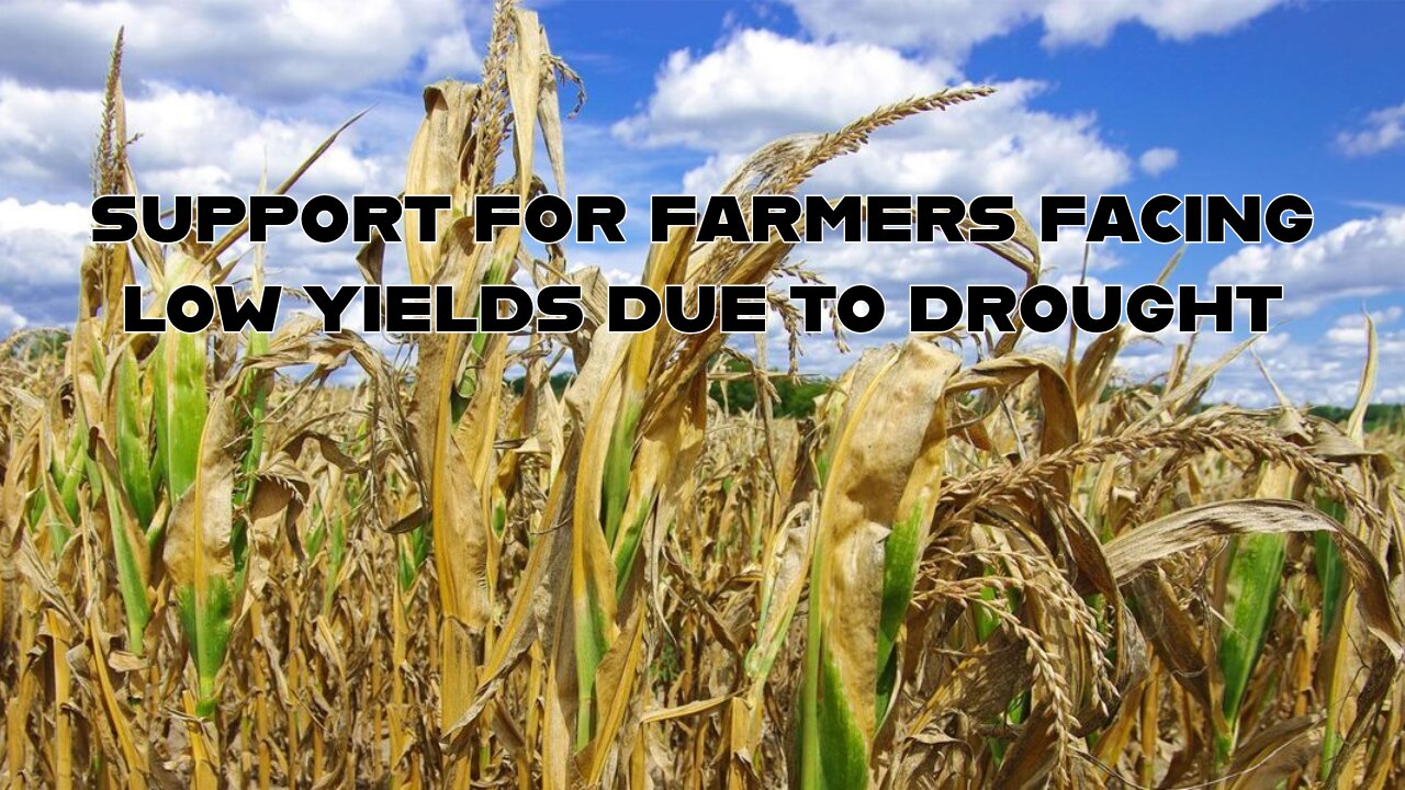 EP 15 - Govt extends farm program - GM revives driverless autos - Possible decrease in repair time