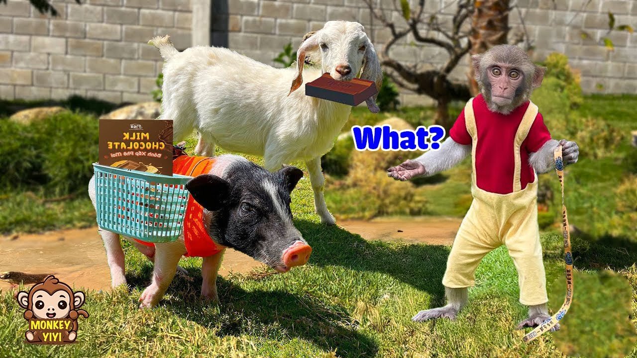 Funny and hilarious story of YiYi and Un In and bebe