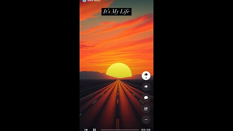 It’s My Life by Biker Mitch (Japanese)