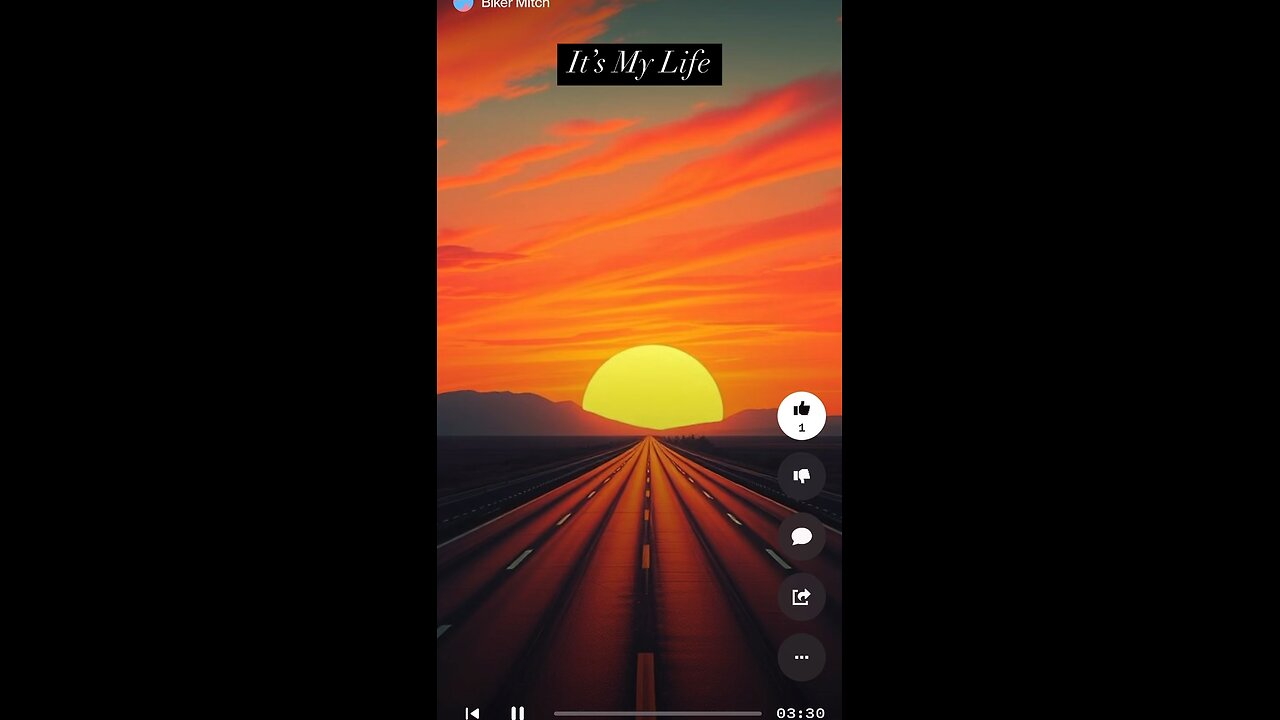 It’s My Life by Biker Mitch (Japanese)