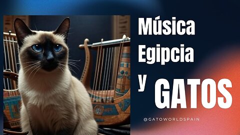 La misteriosa relacion de los gatos con la musica antigua egipcia