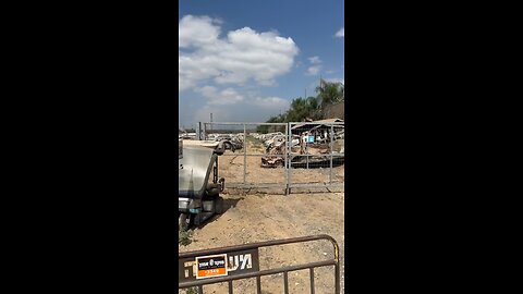 The Couple from Galilee 9/17/25 A Hard Video to Post. Never Forget October 7th!