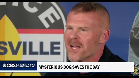 Mysterious dog comes out of nowhere & leads officers to a missing 3 year boy trapped inside a car