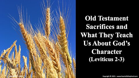 Old Testament Sacrifices and What They Reveal About God’s Character (Leviticus 2-3)