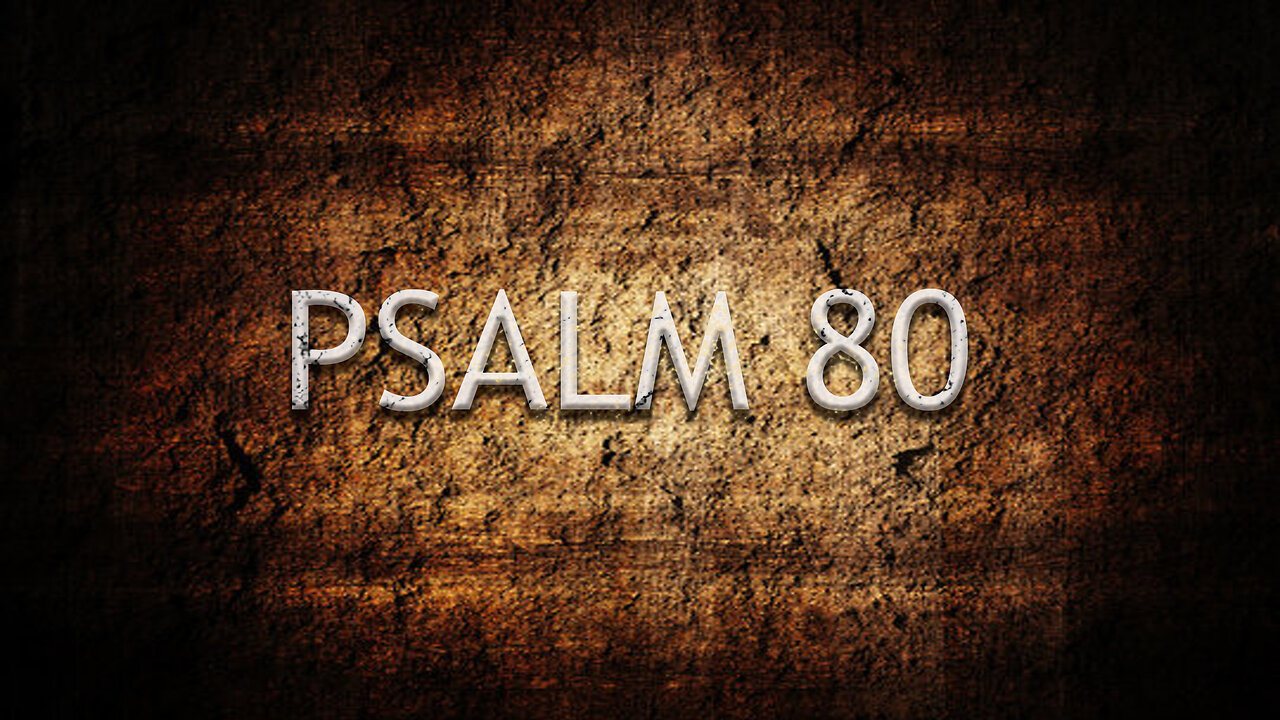 Psalm 80 | Pastor Anderson