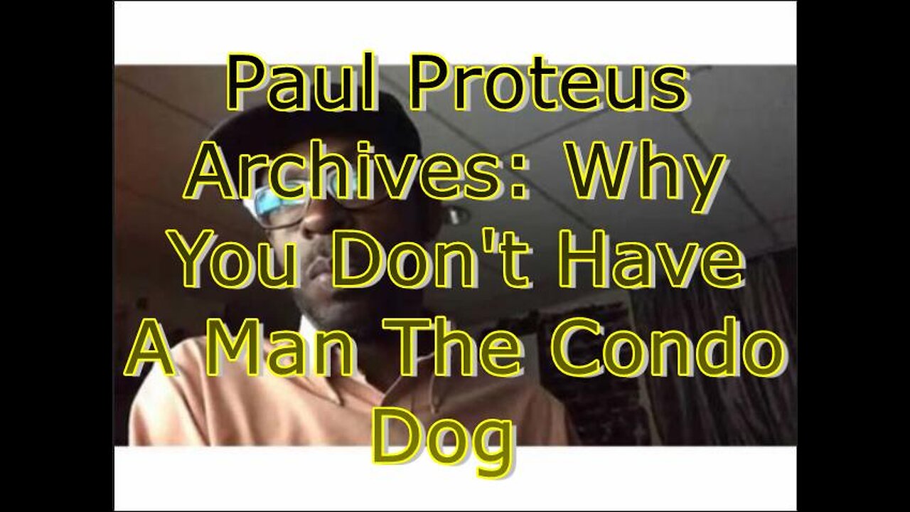 Paul Proteus - MGTOW - Why You Don't Have a Man The Condo Dog