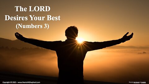 The LORD Desires Your Best (Numbers 3) – A daily Bible study devotion from www.HeartofAShepherd.com.
