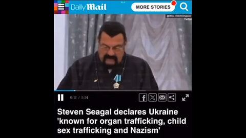 Steven Seagal declares Ukraine 'known for organ trafficking, child sex trafficking and Nazism'