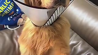 Thanks for saving this Angel!